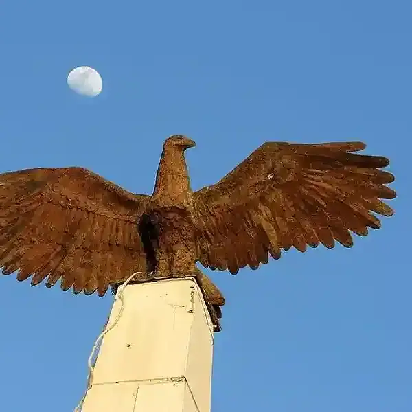 Árbol de la vida en Lorica, Córdoba, con cielo despejado y luna visible en el fondo.