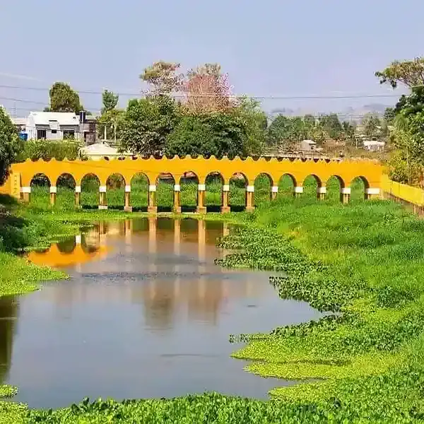 Puente amarillo sobre río en Lorica, Córdoba, Colombia, con áreas verdes y árboles en el entorno.