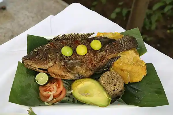 Comidas Típicas