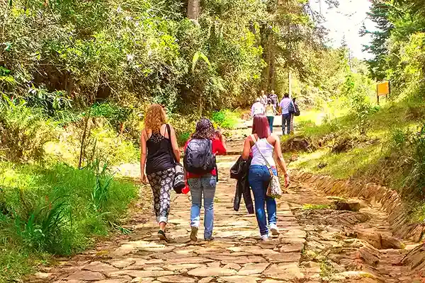 Ecoturismo