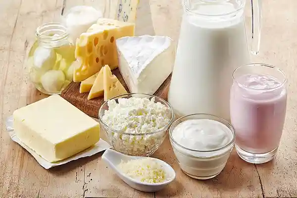 Gastronomía 21 Lácteos