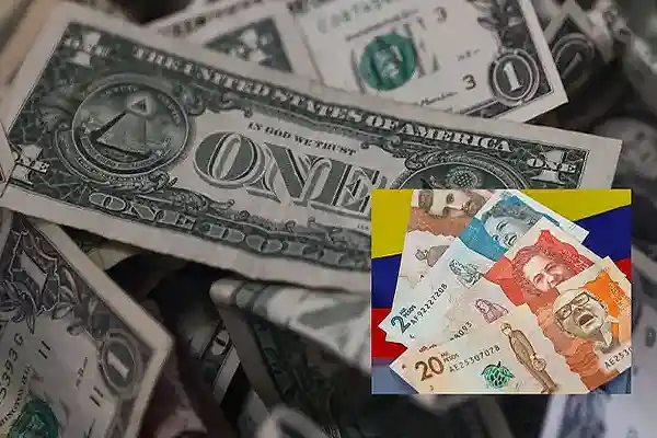 Servicios y entidades 22 Cambios