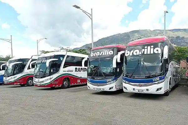 Transporte 7 Empresas