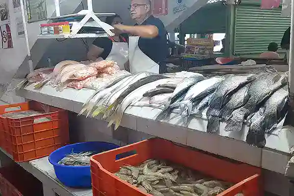 Gastronomía 23 Pescados