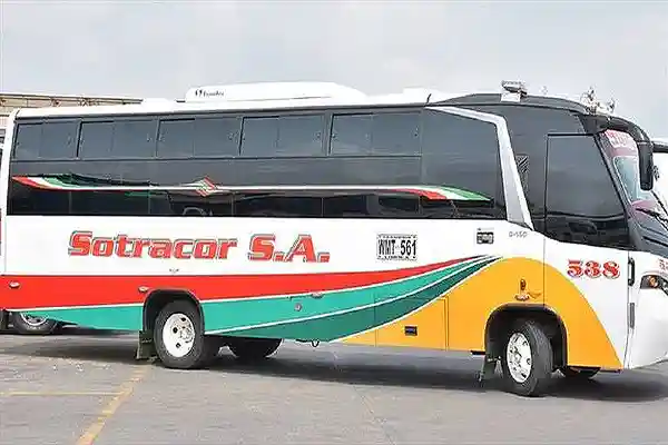 Transporte 8 Buses