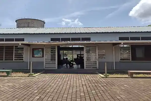 Servicios y entidades 11 Bibliotecas