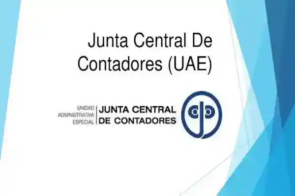 Seguridad 17 JCC Contadores