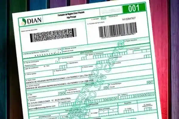 Seguridad 15 RUT (DIAN)